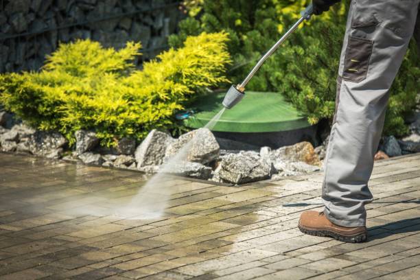 Best Spring Cleaning  in Monongahela, PA